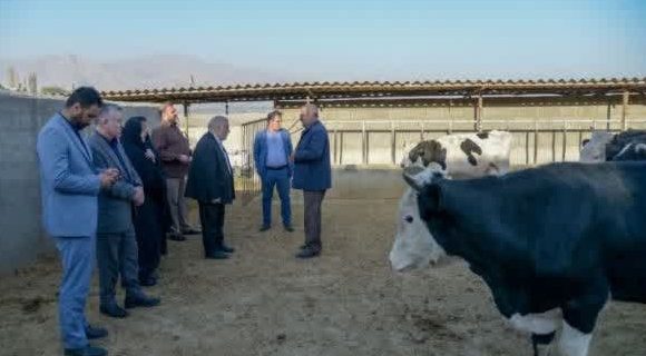 بازدید مسئولان بنیاد شهید استان تهران از طرح‌های کارآفرینی ایثارگران در دماوند