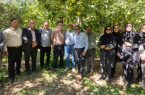 دماوند قطب تولید سیب کشور/ عملیات «کیل‌گیری» برای انتخاب باغدار نمونه در منطقه جابان آغاز شد