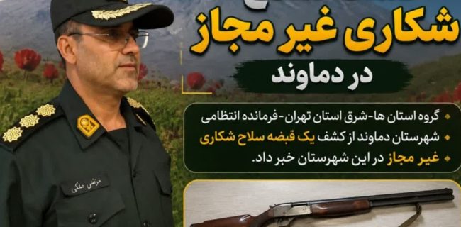 کشف سلاح شکاری غیرمجاز و ۱۴ فشنگ جنگی در دماوند