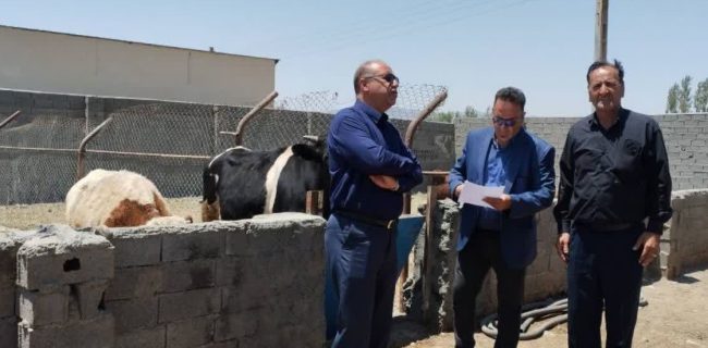بازدید اعضای کارگروه ستاد تسهیل از یک واحد گلخانه و یک واحد دامداری مشکلدار در جابان بازدید اعضای کارگروه ستاد تسهیل از یک واحد گلخانه و یک واحد دامداری مشکلدار در جابان