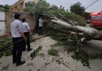 عملیات جهادی امدادگران برای رفع خاموشی در شهر آبسرد عملیات جهادی امدادگران برای رفع خاموشی در شهر آبسرد