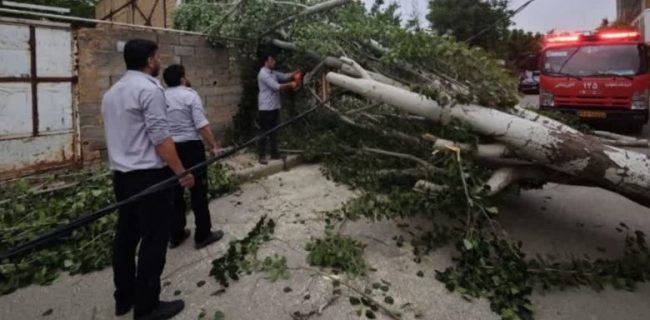 عملیات جهادی امدادگران برای رفع خاموشی در شهر آبسرد/ تقدیر ساکنان از سرعت عمل نیروهای عملیاتی آتشنشانی آبسرد عملیات جهادی امدادگران برای رفع خاموشی در شهر آبسرد/ تقدیر ساکنان از سرعت عمل نیروهای عملیاتی آتشنشانی آبسرد