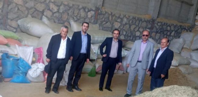 بررسی مشکلات از واحد تولید و اصلاح نژاد دام سبک طی بازدید رئیس اداره صنعت، معدن و تجارت شهرستان دماوند/ رسیدگی به درخواست درخواست انشعاب برق سه فاز