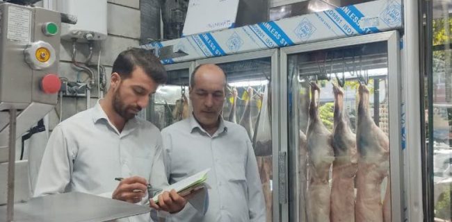 گشت مشترک بازرسی صمت و اتاق اصناف شهرستان دماوند/ رسیدگی به شکایات مردمی از ۵۷ واحد صنفی میوه و تره بار و نانوایی‌ها / پرونده ۱۴ واحد متخلف به اداره تعزیرات حکومتی ارجاع داده شد