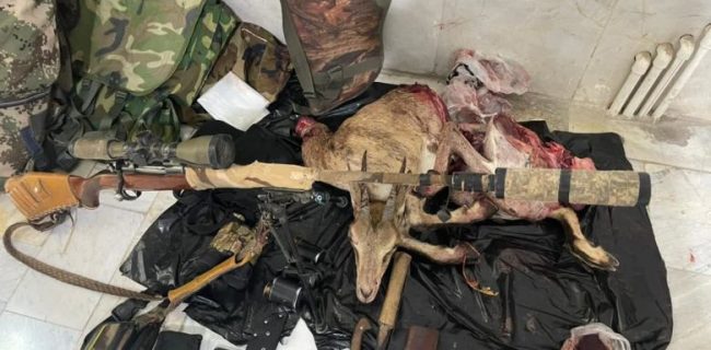 دستگیری ۲ نفر شکارچی غیر‌مجاز و‌ کشف لاشه بز وحشی طی ۴ ساعت عملیات شبانه محیط‌بانان دماوند