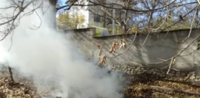 برگ‌سوزی تهدیدی برای هوای شهر دماوند/ با متخلفان برخورد قانونی می‌شود