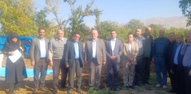 فصل برداشت محصول سیب زمینی از مزارع کشاورزی شهرستان دماوند/ ۸۰ تن سیب زمینی از مزرعه ۲.۵ هکتار در منطقه آبسرد برداشت می‌شود