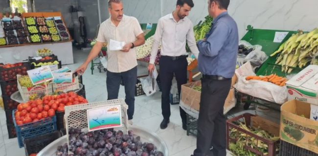 گشت بازدید و نظارت اصناف و اتحادیه میوه و تره بار شهرستان دماوند در پی نارضایتی و شکایات واصله مردمی/ پرونده ۶ واحد متخلف تشکیل و به اداره تعزیرات حکومتی ارجاع داده شد