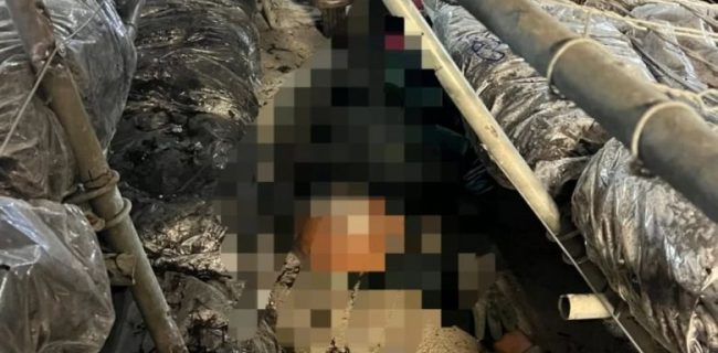 حادثه واژگون شدن قفسه‌های سالن تولید قارچ در منطقه آبسرد ۳ مصدوم برجای گذاشت 