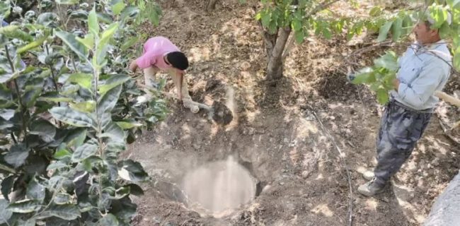 پر کردن ۸ حلقه چاه غیرمجاز در منطقه اسب‌چران شهرستان دماوند