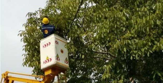 تبدیل شبکه سیمی فشار ضعیف به کابل خودنگهدار در روستای کالدشت‌پایین