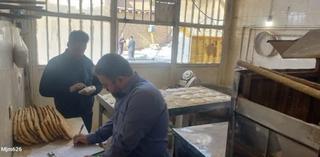 گشت بازدید، نظارت و بازرسی اتاق اصناف شهرستان دماوند/ پرونده ۷ واحد صنفی متخلف به تعمیرات حکومتی ارجاع داده شد/ یک واحد نانوایی در روستای آرو به دلیل استفاده از کارگر اتباع غیرمجاز اخطار پلمپ دریافت کرد