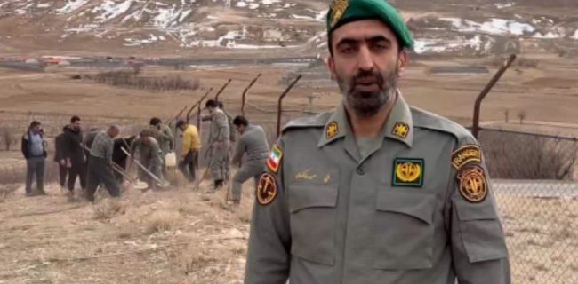 درختکاری در دماوند؛ از حفظ درختان کهن تا گسترش فضای سبز