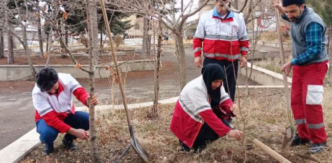 غرس ۵۰ اصله نهال توسط پرسنل جمعیت هلال احمر شهرستان دماوند به مناسبت هفته درختکاری