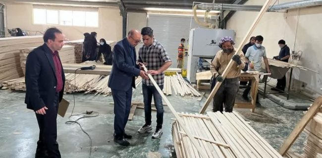 بررسی مشکلات واحد صنفی تولیدی چارچوب درب ضد سرقت و چوب نما طی بازدید میدانی رئیس اداره صمت شهرستان دماوند