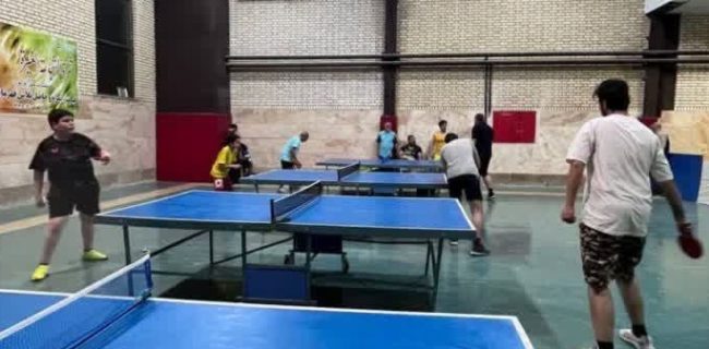 مسابقات تنیس روی میز در شهرستان دماوند ویژه کارکنان ادارات آقایان و آزاد به مناسبت دهه مبارک فجر