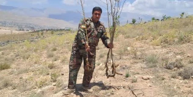 رفع تصرف ۶ هزار مترمربع از اراضی ملی در پلاکهای «لومان» و «آبکلا» شهرستان دماوند رفع تصرف ۶ هزار مترمربع از اراضی ملی در پلاکهای «لومان» و «آبکلا» شهرستان دماوند