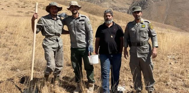 آغاز طرح جنگل‌کاری درختان ارس در دریاچه تار دماوند