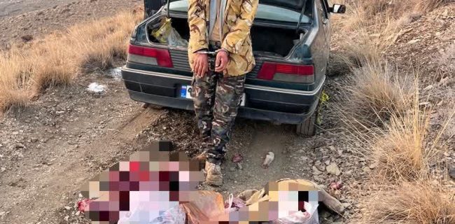 شناسایی و دستگیری عاملان کشتار ۳ رأس قوچ و میش وحشی در ارتفاعات منطقه شکار ممنوع کوه سفید دماوند شناسایی و دستگیری عاملان کشتار ۳ رأس قوچ و میش وحشی در ارتفاعات منطقه شکار ممنوع کوه سفید دماوند