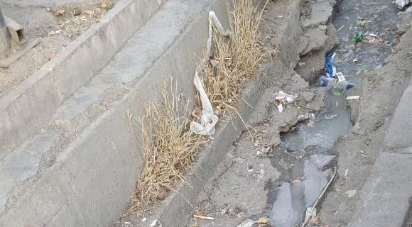 گلایه شهروندان از وضعیت بوی تعفن شدید ناشی از تجمع فاضلاب و زباله در جوی آب مقابل مسجدالرضا(ع) منطقه گیلاوند