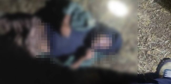 صاعقه جان چوپان تبعه افغانستانی در روستای «آرو» شهرستان دماوند را گرفت