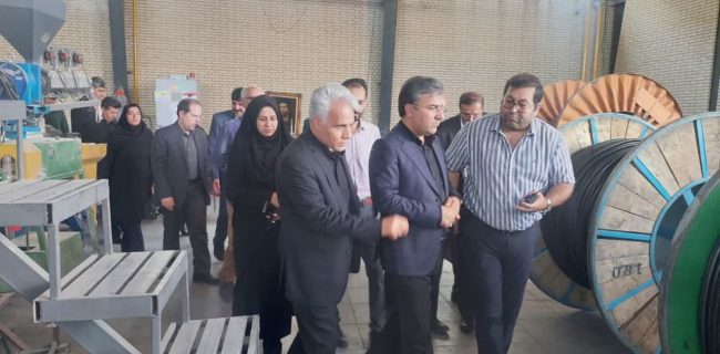 پیگیری مشکلات کمبود سوخت و ناترازی برق شرکت ماهان کابل در دماوند با حضور معاون استاندار تهران پیگیری مشکلات کمبود سوخت و ناترازی برق شرکت ماهان کابل در دماوند با حضور معاون استاندار تهران