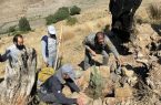 کاشت نهال اورس به‌جای درخت ۲۰۰۰ ساله در ورین دماوند به مناسبت روز جهانی رنجرها