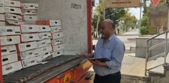 نظارت بر توزیع ۳ تن مرغ  منجمد تنظیم بازار در شهرستان دماوند