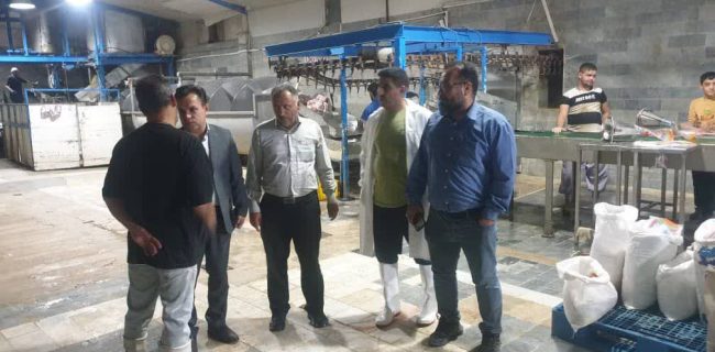 بازدید شبانه گشت مشترک تنظیم بازار از کشتارگاه زَران دماوند/ تأکید بر ممنوعیت قطعه‌بندی مرغ در محل کشتار و لزوم عرضه کامل مرغ گرم به بازار