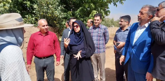 تأکید بر تقویت زیرساخت‌ها برای افزایش بهره‌وری باغ‌های سیب دماوند