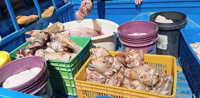 پلمب واحد عرضه و توقیف خودرو حمل فرآورده خام دامی به دلیل تخلفات بهداشتی در دماوند