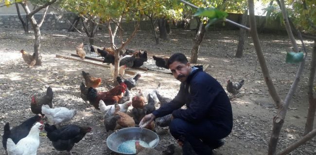 برگزاری اردوی جهادی دامپزشکی به مناسبت هفته دفاع مقدس در شهرستان دماوند/ اعزام اکیپ‌های تخصصی به روستاهای محروم برای واکسیناسیون رایگان ۳۲ هزار قطعه طیور