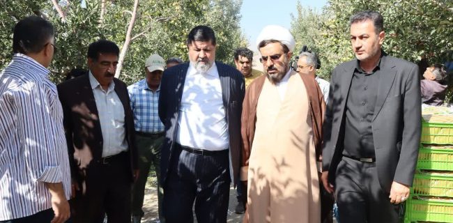 پیش‌بینی برداشت ۲۲۰ هزار تن سیب دماوند در سال جاری/ تاکید فرماندار دماوند بر توسعه صنایع تبدیلی و جذب سرمایه‌گذاران بخش خصوصی