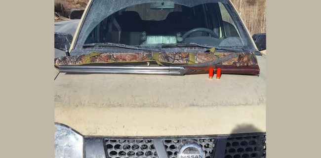 توقیف سلاح شکاری در منطقه شکار و تیراندازی ممنوع تار و هویر دماوند