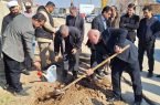 کاشت نهال به مناسبت روز درختکاری در آبسرد