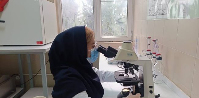 پایش مستمر کیفیت آب شرب در شرق استان تهران در شرایط جنگی/ انجام بیش از ۳۸۰۰ مورد کلرسنجی برای صیانت از سلامت آب شرب پایش مستمر کیفیت آب شرب در شرق استان تهران در شرایط جنگی/ انجام بیش از ۳۸۰۰ مورد کلرسنجی برای صیانت از سلامت آب شرب