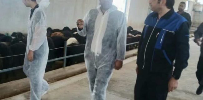 بازدید رئیس اداره دامپزشکی دماوند از مجتمع دامداری اتکا/ پرورش ۵ هزار رأس دام سبک در بزرگترین مجتمع دامداری دماوند/ تأکید بر حمایت از تولید گوشت قرمز بازدید رئیس اداره دامپزشکی دماوند از مجتمع دامداری اتکا/ پرورش ۵ هزار رأس دام سبک در بزرگترین مجتمع دامداری دماوند/ تأکید بر حمایت از تولید گوشت قرمز