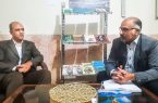 «سیمرغ سپید» در راه بازار کتاب؛ روایت شاعران شرق تهران از هویت فرهنگی/ دومین جلد کتاب با محوریت رودهن منتشر میشود