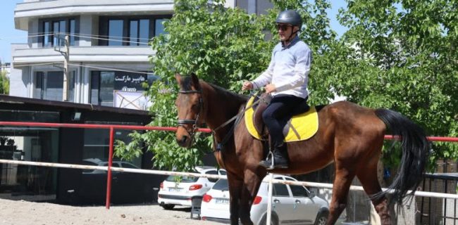 بازدید سرزده مدیرکل ورزش تهران از باشگاه سوارکاری هشتبهشت دماوند/ تأکید بر توسعه صنعت اسب و حمایت از بخش خصوصی بازدید سرزده مدیرکل ورزش تهران از باشگاه سوارکاری هشتبهشت دماوند/ تأکید بر توسعه صنعت اسب و حمایت از بخش خصوصی