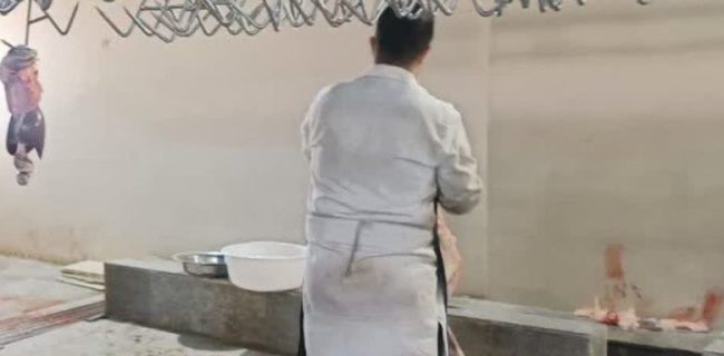 استقرار ۷ جایگاه عرضه دام بهداشتی در شهرستان دماوند به‌مناسبت عید قربان/ تأکید اداره دامپزشکی بر ذبح بهداشتی در کشتارگاه‌های صنعتی