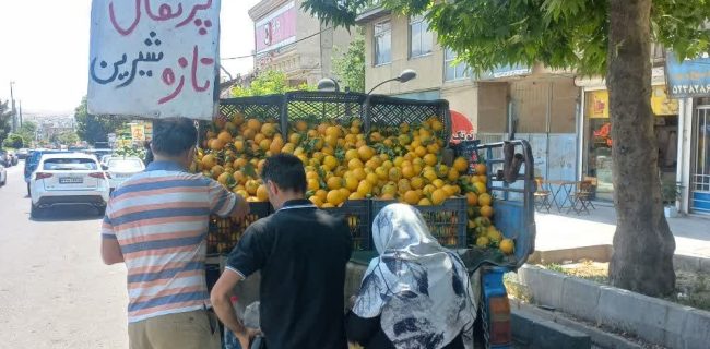 معابر دماوند زیر ذرهبین انضباط شهری/ تداوم برخورد با توقفهای مزاحم و سد معبر معابر دماوند زیر ذرهبین انضباط شهری/ تداوم برخورد با توقفهای مزاحم و سد معبر