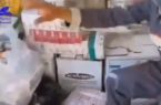 معدومسازی ۴۰۰ میلیون تومان داروی تاریخمصرفگذشته در رودهن معدومسازی ۴۰۰ میلیون تومان داروی تاریخمصرفگذشته در رودهن