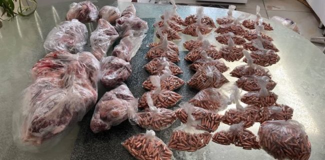 دستگیری شکارچی متواری دماوند در تهران/ کشف ۲۵ کیلوگرم گوشت کل وحشی و ۳۵۰۰ فشنگ