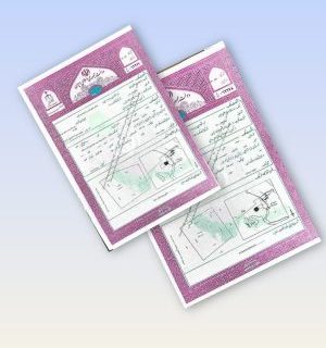 تثبیت مالکیت دولت بر اراضی موات پلاک سربندان شهرستان دماوند با ارزش تقریبی ۸ هزار و ۴۰۰ میلیارد ریال