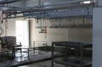 کشتارگاه دماوند به سمت نیمهصنعتی شدن رفت/ اجرای مجموعهای از اقدامات بهداشتی و فنی در کشتارگاه دماوند کشتارگاه دماوند به سمت نیمهصنعتی شدن رفت/ اجرای مجموعهای از اقدامات بهداشتی و فنی در کشتارگاه دماوند