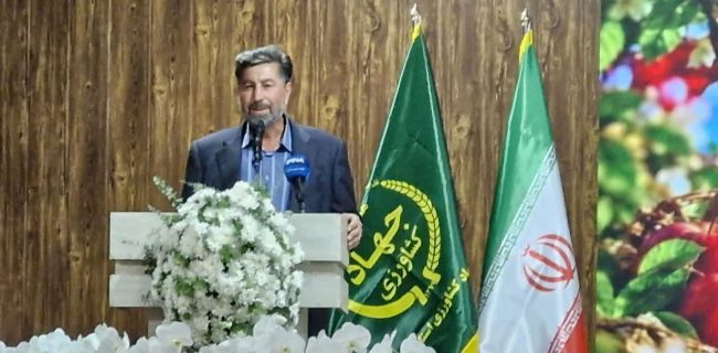 رکوردشکنی تولید سیب در دماوند و ضرورت خرید حمایتی سیب صنعتی/ ناترازی برق، چالش جدی باغداران رکوردشکنی تولید سیب در دماوند و ضرورت خرید حمایتی سیب صنعتی/ ناترازی برق، چالش جدی باغداران