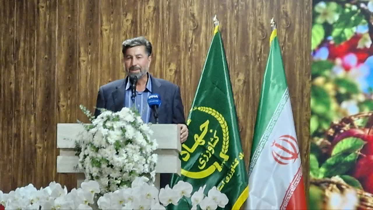 رکوردشکنی تولید سیب در دماوند و ضرورت خرید حمایتی سیب صنعتی/ ناترازی برق، چالش جدی باغداران رکوردشکنی تولید سیب در دماوند و ضرورت خرید حمایتی سیب صنعتی/ ناترازی برق، چالش جدی باغداران
