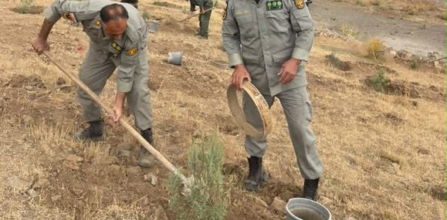 کاشت ۲۰۰ اصله درخت ارس در دریاچه تار دماوند با مشارکت دوستداران محیط زیست