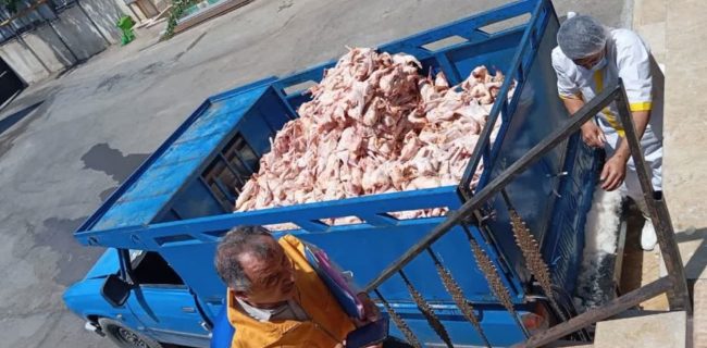 معدوم‌سازی بیش از ۲۰۰۰ کیلوگرم فرآورده خام دامی آلوده در دماوند با صدور حکم حبس و جریمه نقدی