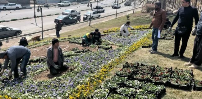 اجرای طرح گل‌کاری و توزیع گلدان در آستانه بهار در شهر دماوند